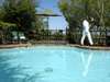 Kirawira Luxury Tented Camp - Pool 
